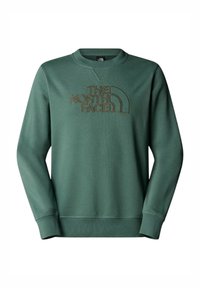 Felpa verde realizzata in tessuto morbido, con colletto girocollo e polsini a costine, con il logo "THE NORTH FACE" ricamato in marrone.