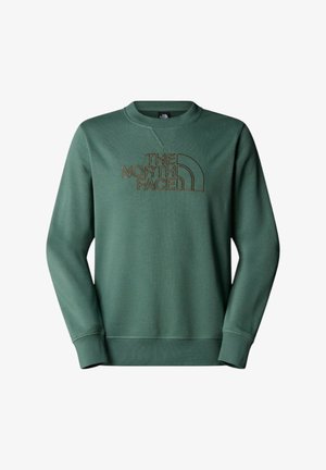 Felpa verde realizzata in tessuto morbido, con colletto girocollo e polsini a costine, con il logo "THE NORTH FACE" ricamato in marrone.