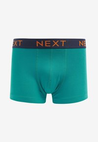 Next PATTERN FOUR PACK - Boxerkalsong - bird pattern