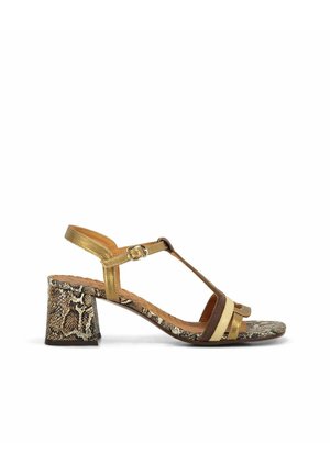 Sandale femme à bout ouvert avec un petit talon bloc, des brides dorées et marron, et un imprimé serpent sur le talon et la semelle.