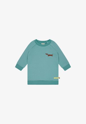 Felpa turchese con maniche raglan lunghe, caratterizzata da un ricamo di un bassotto marrone sul petto e orli e polsini a costine.