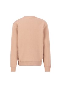 Felpa rosa chiaro realizzata in tessuto morbido, con scollo rotondo classico, maniche lunghe e polsini e orlo a costine. Design semplice e privo di ornamenti.