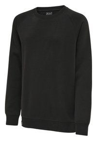 Svart sweatshirt i mjukt tyg med klassisk rund halsringning, raglanärmar samt ribbade mudd och nederkant. Inga mönster eller detaljer synliga.