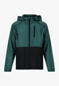 Selezionato, june bug