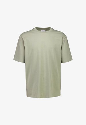 Schlichtes, hellgrünes T-Shirt mit kurzen Ärmeln und Rundhalsausschnitt, regulärer Passform und einem kleinen weißen Etikett im Kragen.