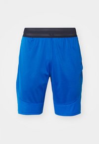TENNIS TOUR - Short de sport - gipsy blue