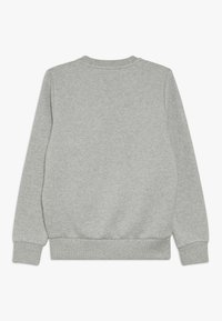 Sudadera gris con mangas largas, puños y dobladillo de canalé. Tejido suave con una textura lisa. Sin patrones ni gráficos visibles.