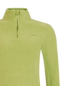 Grøn fleece pullover med halvlukket krave. Har en blød tekstur og et lille logo på brystet. Enkel design med lange ærmer.