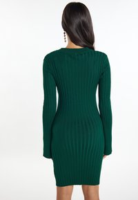 Abito in maglia di colore verde scuro con righe verticali, maniche lunghe, scollo rotondo e silhouette aderente, che termina sopra il ginocchio.