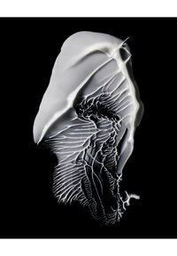 Forme abstraite blanche avec des motifs texturés complexes rappelant des formes organiques ; affichée sur un fond noir.