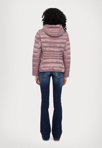 EA7 Emporio Armani GIUBBOTTO - Žieminė striukė - pink