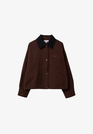 B.ANGEL, BOMBER JACKET WITH CONTRASTING COLLAR, REGULAR FIT - Chaqueta de entretiempo - brown