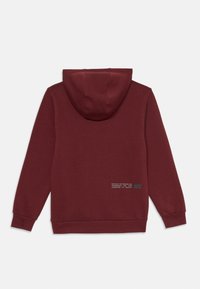 Burgundijas krāsas hoodie ar kangaroo kabatu, ar pievelkamu kapuci, ribotu aproču un uzdrukātu logo un tekstu apakšējā aizmugurē. Mīksta flīsa materiāls.