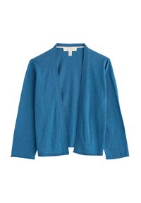 Izbrano, blue sailor