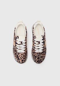 Anna Field Trainers - leo