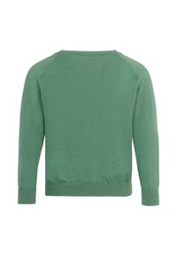 Pull en tricot vert, doté de manches longues, d'un col rond, de poignets côtelés et d'un ourlet, avec une texture lisse et un motif de point uniforme.