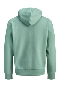 Ανοιχτό πράσινο φούτερ με κουκούλα, μακριά μανίκια, ριμπ μανσέτες και τελείωμα, εμφανίζεται από πίσω σε λευκό φόντο.