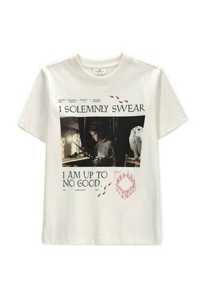 Coccodrillo, - T-shirt z nadrukiem