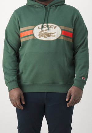 Mężczyzna w zielonej bluzie Lacoste z logo oraz czerwonymi i beżowymi paskami, w ciemnych spodniach, stojący na jednolitym tle.