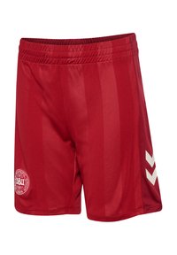 Röda sportshorts med elastisk midja, tillverkade av slät tyg. Har en vit logotyp och chevron-accenter på sidorna.