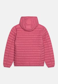 Gepolsterte pinke Jacke mit Kapuze, die ein gestepptes Design, elastische Bündchen und eine stromlinienförmige Form aufweist. Die Rückansicht zeigt vertikale Nähte.