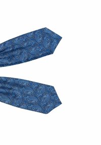 Sininen paisley-solmio, joka on valmistettu silkistä. Solmiossa on monimutkaisia kierrettyjä kuvioita tummemmassa sinisessä ja vaaleammissa sävyissä, ja sen pinta on sileä ja kiiltävä.