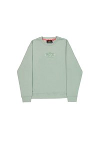 Zielona bluza z okrągłym dekoltem, ściągaczami przy mankietach i dolnej części, a także subtelnym wzorem graficznym na klatce piersiowej. Wykonana z miękkiego materiału bawełnianego.