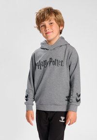 Grijze hoodie met "Harry Potter" logo, voorzien van een voorste kangaroo zak en gestreepte zwarte chevron accenten op de mouwen. Zwarte broek met logo.