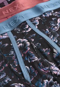 Next SIGNATURE A-FRONTS FOUR PACK - Gaćice - black  purple green floral