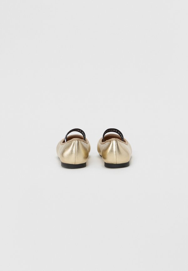 BALLET LOVE - Ballet pumps - platinum4