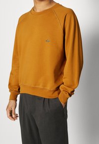 Sudadera amarilla mostaza con mangas raglán, cuello redondo y dobladillo cosido. Presenta un pequeño logotipo colorido en el pecho. Textura suave.