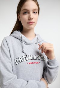 Felpa grigia con cappuccio regolabile. Presenta il testo ricamato "DREIMASTER" in nero e "MARITIM" in rosso. Tessuto morbido, vestibilità rilassata.
