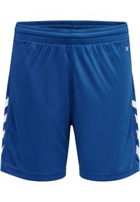 Non sélectionné, true blue