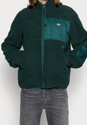 Winterjacke - dark green