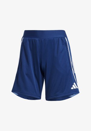 Marineblaue Sportshorts aus synthetischem Material, mit weißen Seitstreifen, einem breiten elastischen Bund und zwei Seitentaschen.