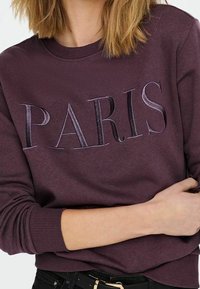 Felpa viola scuro con la scritta "PARIGI" in lettere di varie texture. Collo rotondo, polsini a costine e vestibilità rilassata. Tessuto morbido, design minimale.