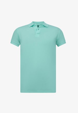 Mintgroene polo shirt van zachte katoen, met een drie-knoopsluiting en korte mouwen, met een klassieke kraag en zonder zichtbaar patroon.
