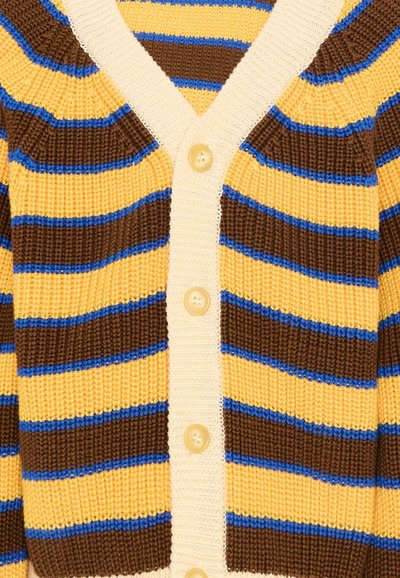 Cardigan tricoté avec des rayures horizontales jaunes, marron et bleues, présentant un devant en V boutonné de couleur crème.