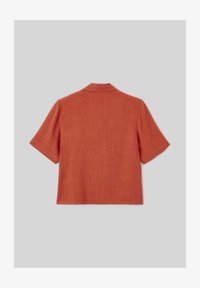 Non sélectionné, marron