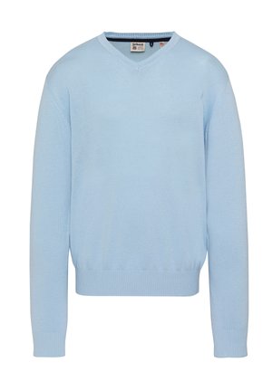 Pull à col V bleu clair à manches longues avec poignets et ourlet côtelés, doté d'une petite étiquette Schott à l'intérieur du col.