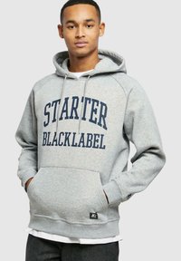 Starter LABEL RAGLAN  - Hoodie - heathergrey