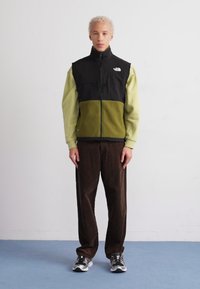 The North Face DENALI VEST - Liemenė - forest olive