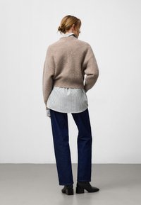 Bruine pluizige trui over een lichtblauw gestreept shirt, gecombineerd met donkerblauwe spijkerbroeken en zwarte enkellaarsjes met hak. Achteraanzicht.