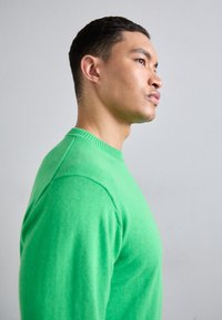 KNITID CASHMERE BLEND PLAIN CREW NECK - Strikkegenser - green flash