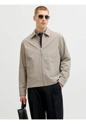 Ung mand med kort hår iført beige jakke med lynlås, sorte bukser, stribet slips, solbriller og holder en sort lædertaske mod en ensfarvet baggrund.