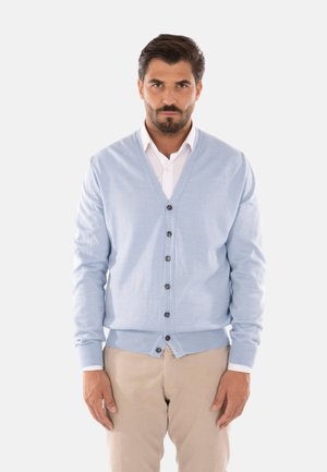 Cardigan azzurro chiaro con scollatura a V, dotato di bottoni scuri e polsini a coste, indossato sopra una camicia bianca, abbinato a pantaloni chiari.