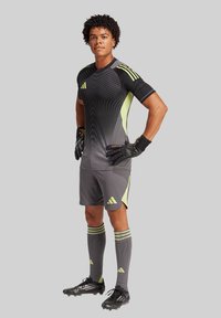 adidas Performance Maillot de gardien de but - grau