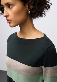 Grüner, beiger und türkis gestreifter Pullover mit einem gerippten Ausschnitt. Weicher Stoff und taillierte Passform, die horizontale Streifen über den Körper zeigt.