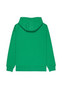 Felpa verde con cappuccio realizzata in tessuto misto cotone. Presenta un cappuccio, maniche lunghe e polsini e orlo a costine. Texture liscia con colore uniforme.