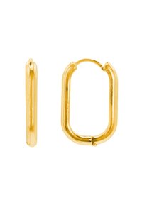 Goldene Creolen mit einer glatten metallischen Oberfläche, einer länglichen ovalen Form und einem sicheren Scharnierverschluss für leichtes Tragen.